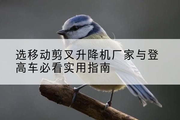 徐州电动升降机厂家-选移动剪叉升降机厂家与登高车必看实用指南