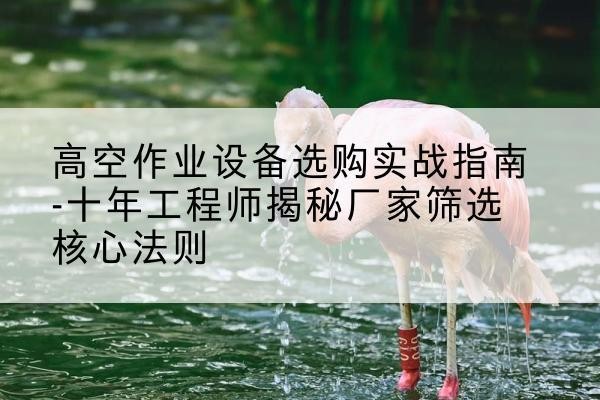 徐州剪叉式升降机厂家-高空作业设备选购实战指南-十年工程师揭秘厂家筛选核心法则