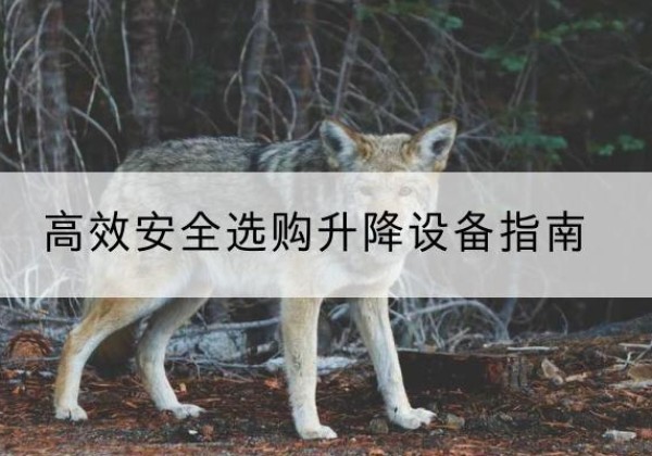 徐州升降货梯厂家推荐-*安全选购升降设备指南