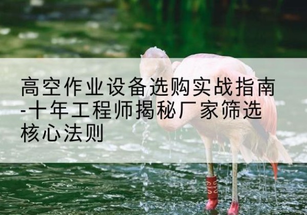 徐州剪叉式升降机厂家-高空作业设备选购实战指南-十年工程师揭秘厂家筛选核心法则