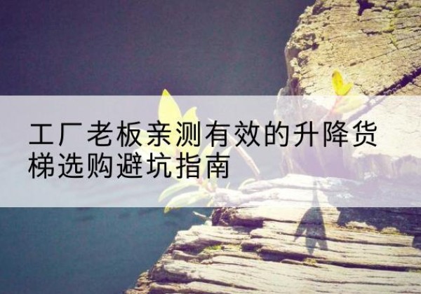 徐州升降货梯怎么选-工厂老板亲测有效的升降货梯选购避坑指南